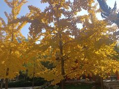 -君怡休闲洗浴会馆