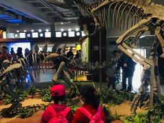 -自贡恐龙博物馆