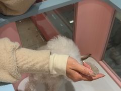 -FAELING PETS美天灵宠物(合生汇店)