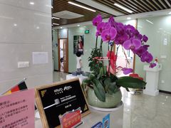 -茂菊口腔连锁(浦东南路店)