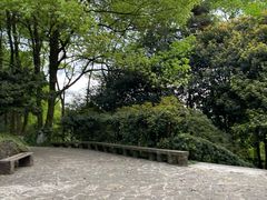 -南山植物园