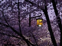 -蜀冈西峰生态公园