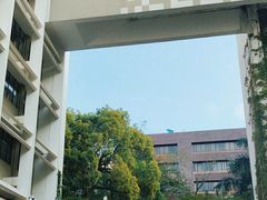 -香港大学