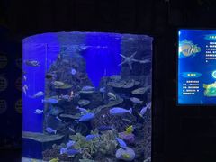 -左海海底世界