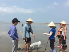 -北海金海湾红树林生态旅游区