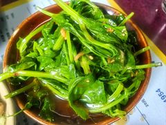 -周肥肠(江油总店)