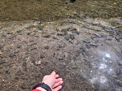 -宁波五龙潭景区