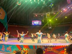 -俄罗斯国家大马戏团