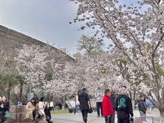 -Beans Solo豆号咖啡(百家湖花园店)