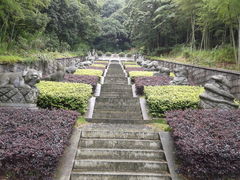 -黄贤森林公园