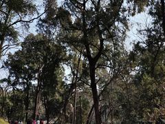 -子昂故里文化旅游区