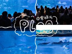 -烟台海昌鲸鲨海洋公园