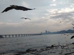 -星海广场