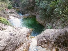 -南海湾森林生态园