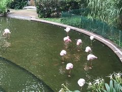 -九龙公园