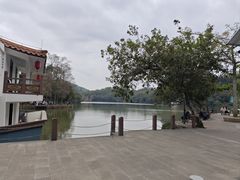 -深圳仙湖植物园