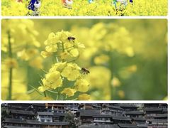 -西江千户苗寨-百年吊脚楼