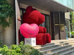 -Dr.U博士医疗美容医院