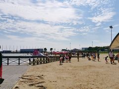 -碧海金沙