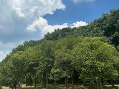 -钟山体育运动公园