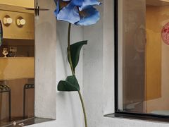 -村口大树(长乐路店)