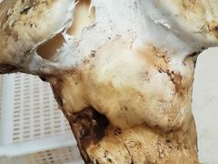 -野菌皇海景野生菌火锅(滨海大道店)