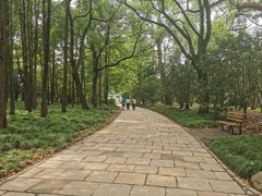 -共青国家森林公园-售票处