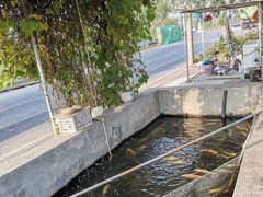 -北京龙庆四季香农家饭庄·灶台鱼·碳烤虹鳟鱼(龙庆峡店)