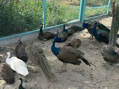 -水上乐园·欢乐世界