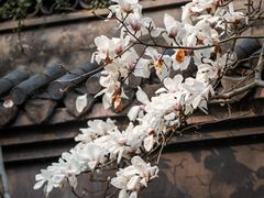 -钱王祠