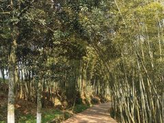 -乌石村