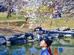 -圆明园遗址公园-藻园门售票处