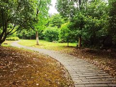 -白马涧龙池景区