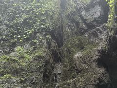 -野三坡百里峡景区