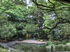 -香港大学