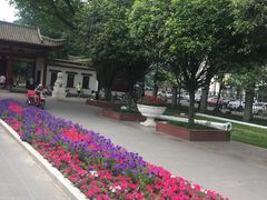 -温江公园