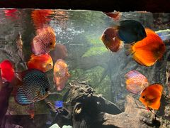 -上海海洋水族馆