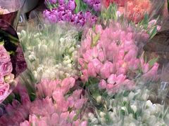 -循礼门鲜花花市(武汉循礼门店)