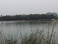 -美兰湖景区