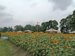 -中国天府农业博览园