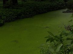 -虎跑公园