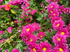 -国家植物园南园