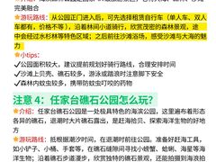 -日照海滨国家森林公园