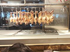 -三强鸽子(中原路店)