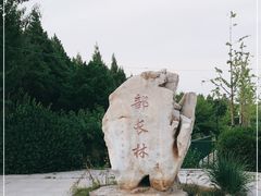 -北坞公园