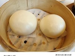 流沙奶皇包-利苑酒家(金宝店)