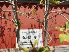 -红螺寺