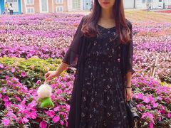 -松山湖梦幻百花洲
