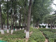 -燕郊植物园