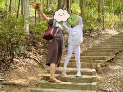 -上海佘山国家森林公园天马山园